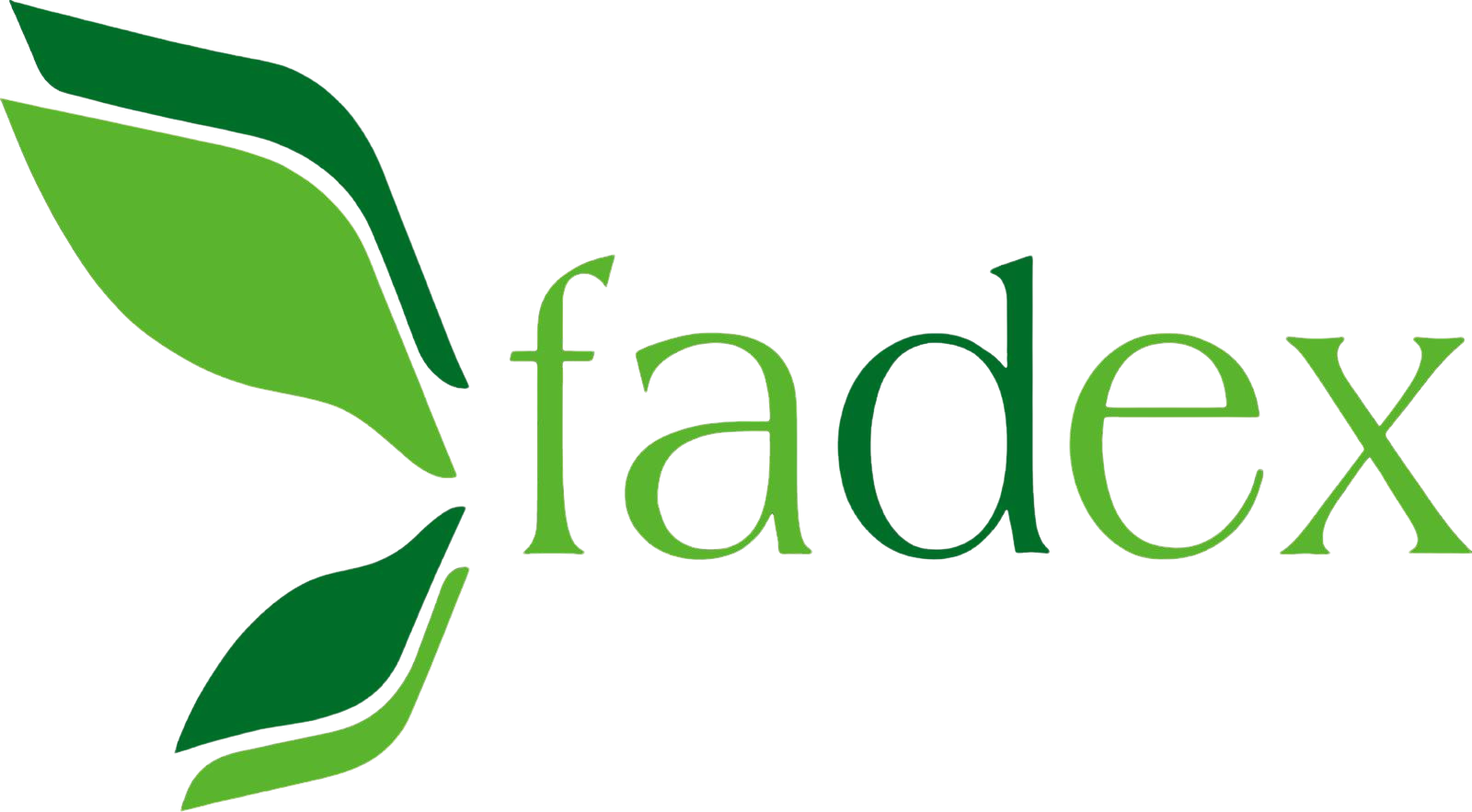 Campus_FADEX
